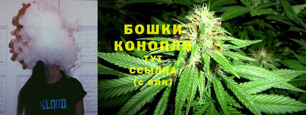 дурь Белоозёрский