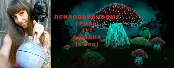 скорость mdpv Белокуриха