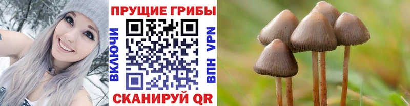 Псилоцибиновые грибы мицелий  Горняк 